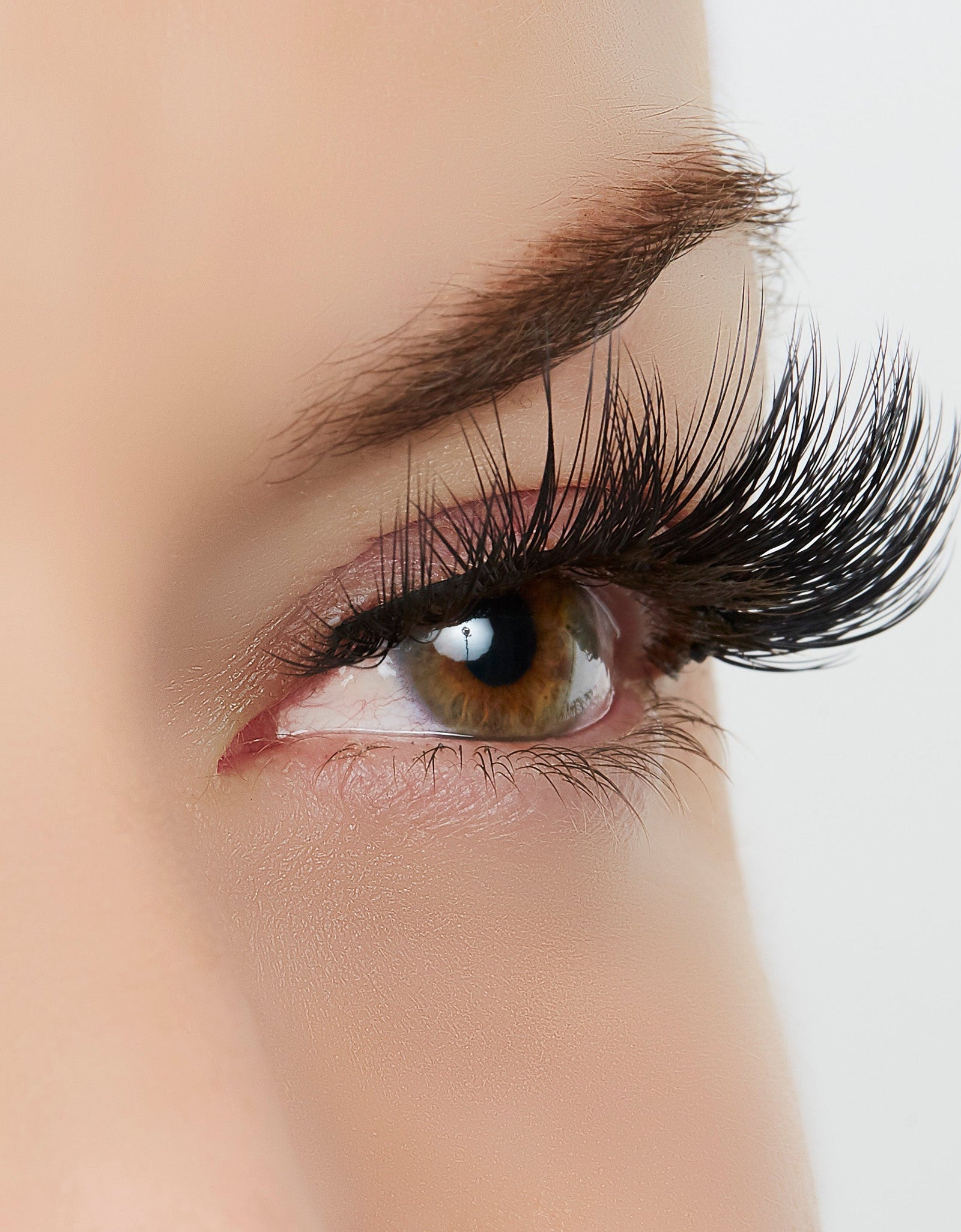 As You Were Saying? Lash Style by True Beauty Lashes