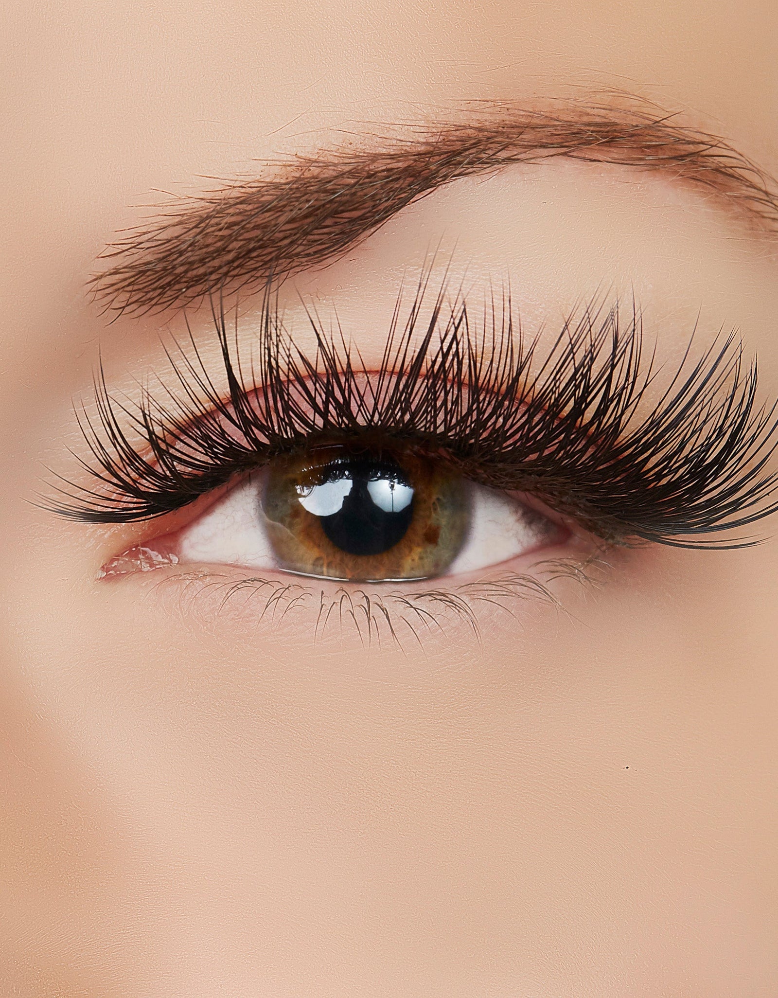 As You Were Saying? Lash Style by True Beauty Lashes