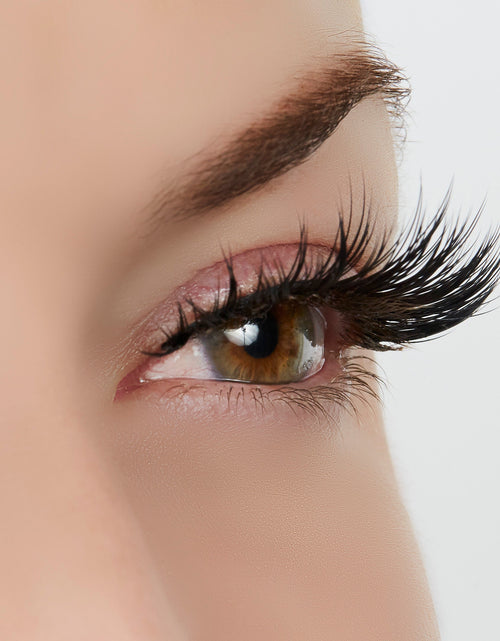 Load image into Gallery viewer, Role Model Lash Style by True Beauty Lashes
