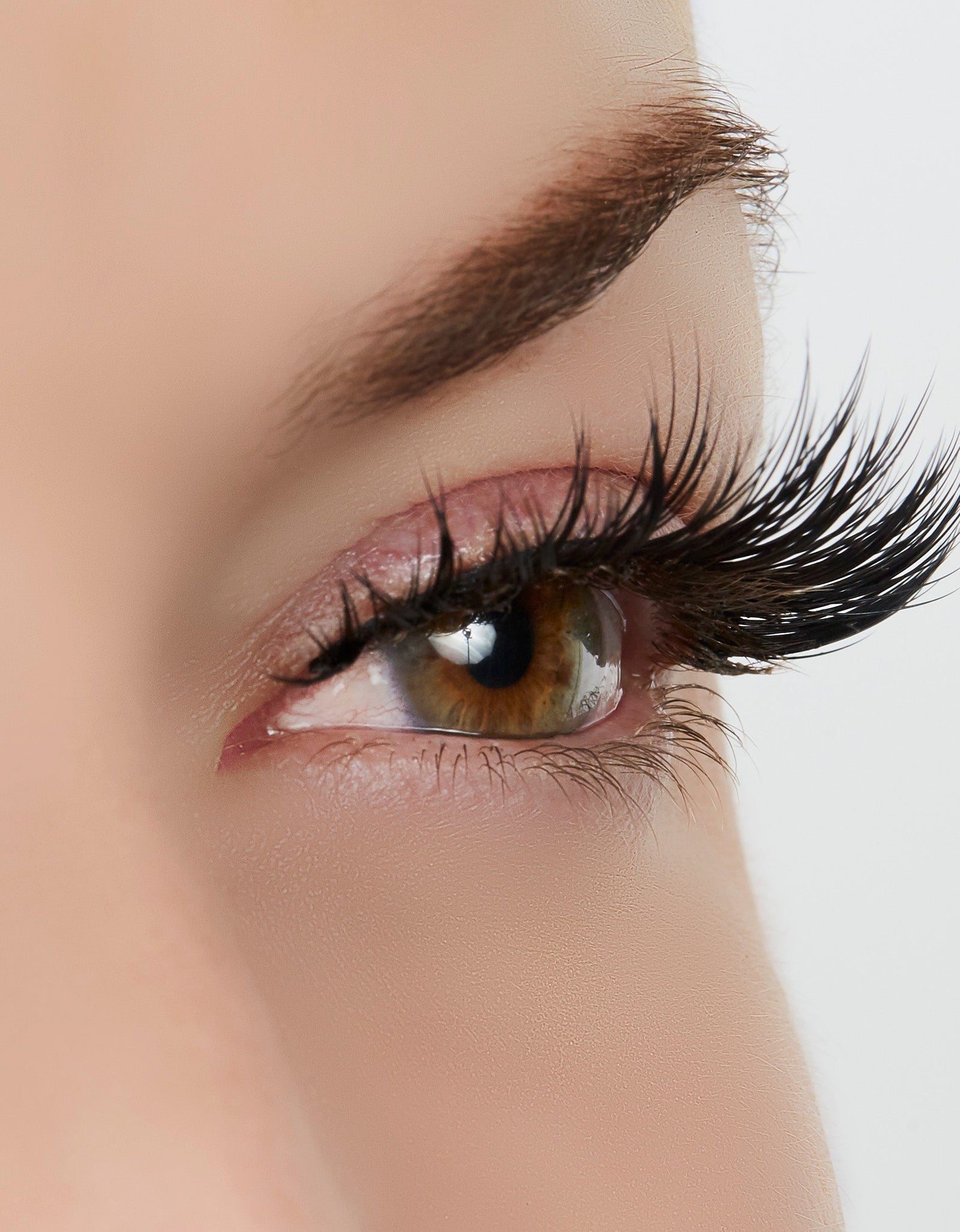 Role Model Lash Style by True Beauty Lashes