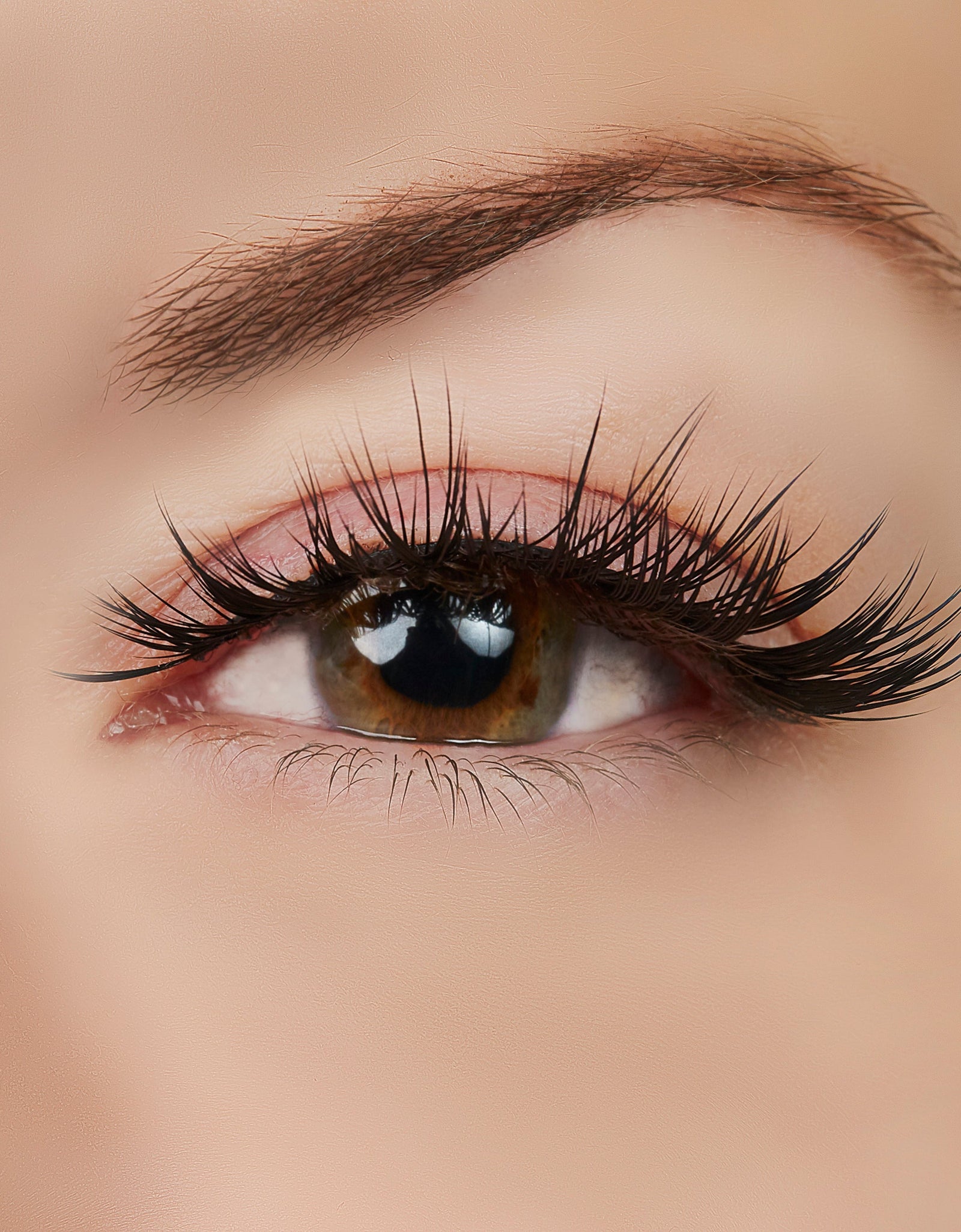 Role Model Lash Style by True Beauty Lashes