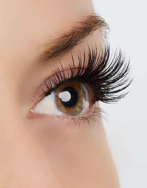 Load image into Gallery viewer, Timeless Beauty Lash Style by True Beauty Lashes
