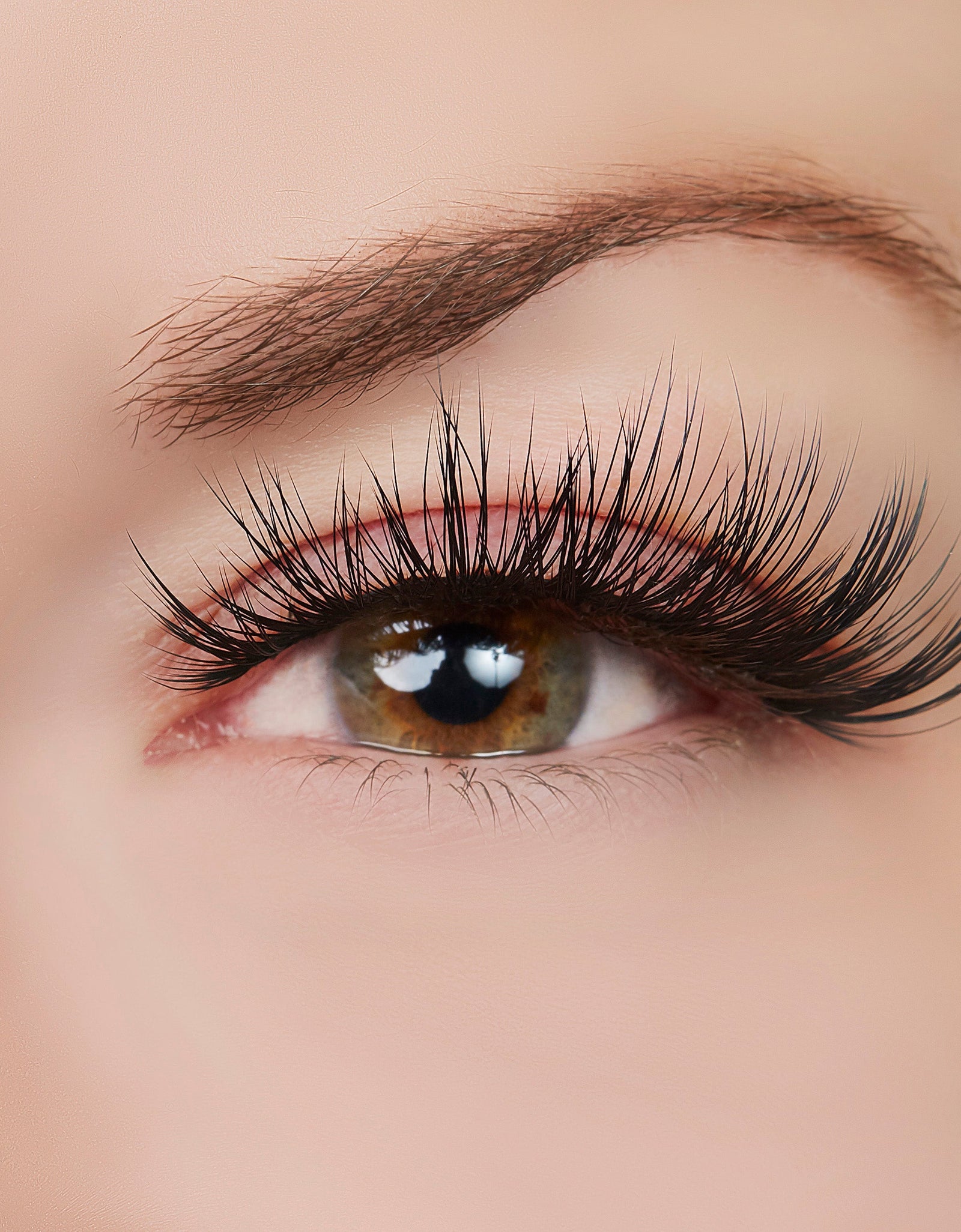 Positively Captivating Lash Style by True Beauty Lashes