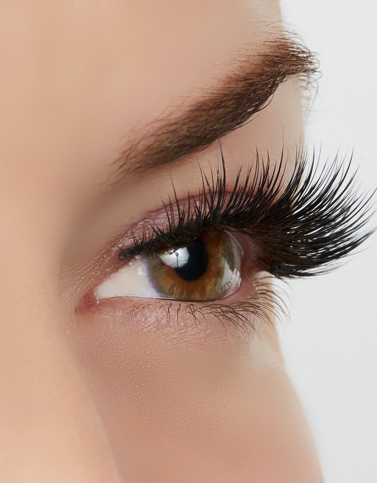 Sexy Classy Lash Style by True Beauty Lashes