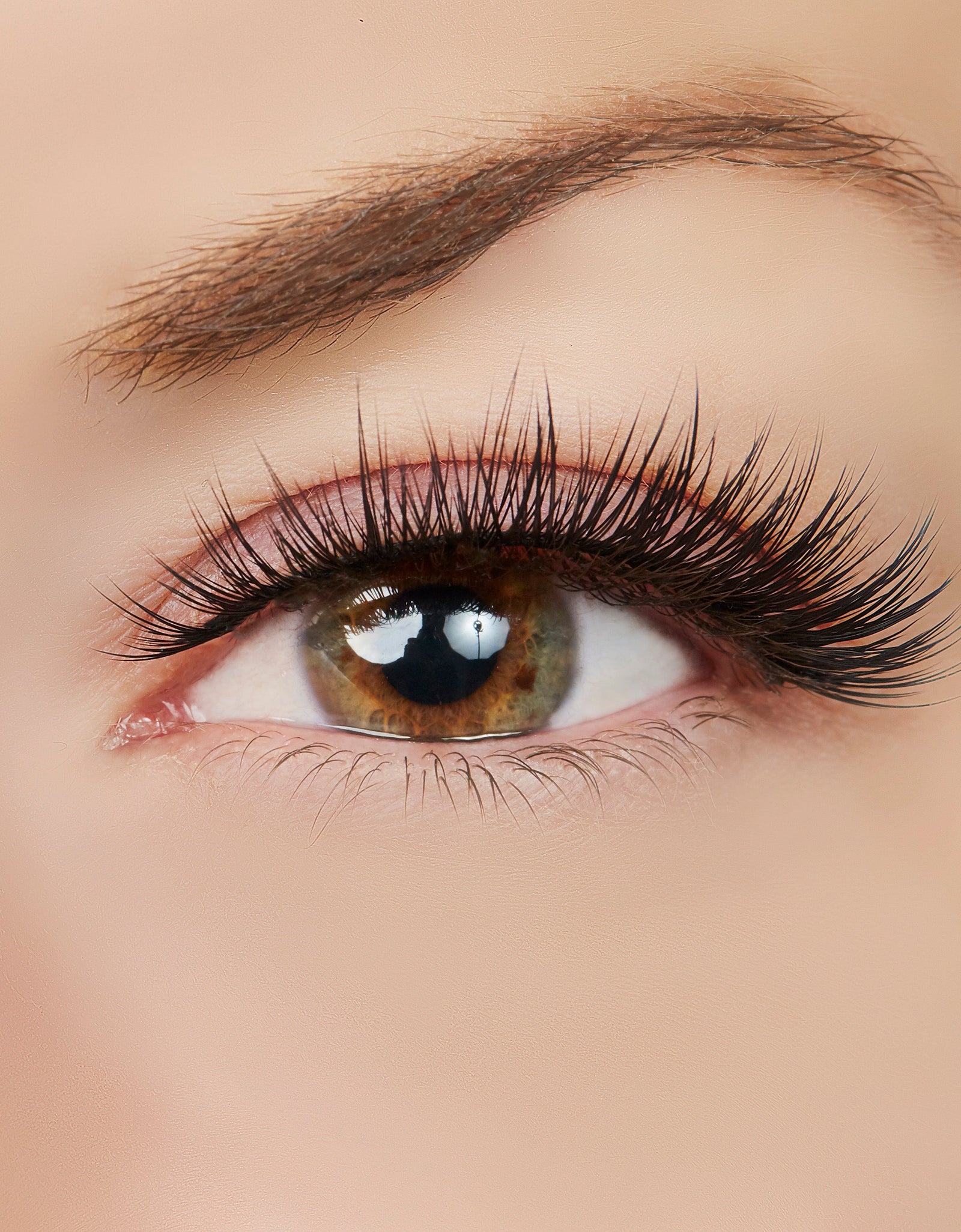 Above & Beyond Lash Style by True Beauty Lashes