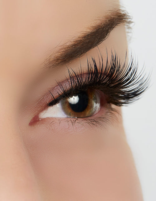 Load image into Gallery viewer, Wait for It Lash Style by True Beauty Lashes
