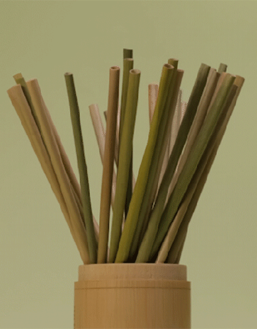 Load image into Gallery viewer, Grass Drinking Straws by EQUO
