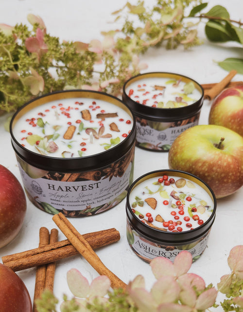 Load image into Gallery viewer, HARVEST Apple Spice Candle by Ash &amp; Rose
