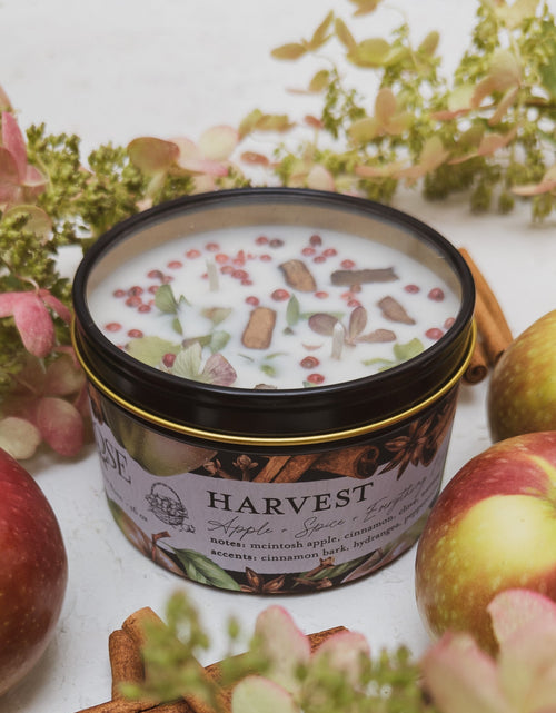 Load image into Gallery viewer, HARVEST Apple Spice Candle by Ash &amp; Rose
