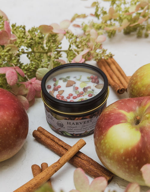 Load image into Gallery viewer, HARVEST Apple Spice Candle by Ash &amp; Rose
