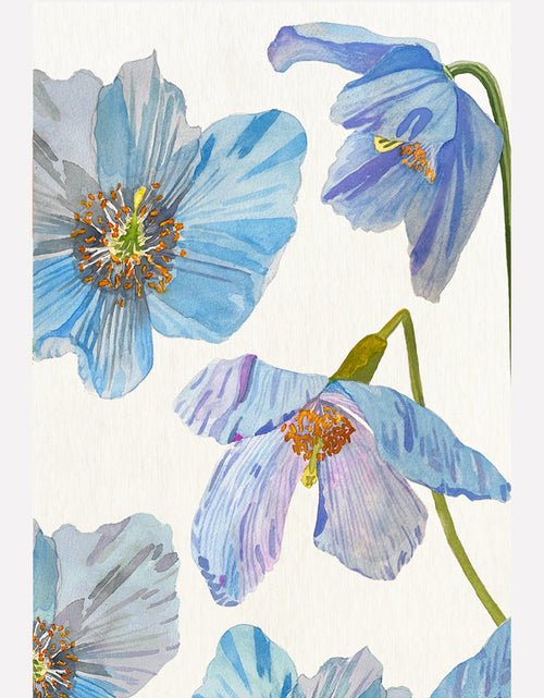 Load image into Gallery viewer, Art Print:  Himalayan Blue Poppies on Ecru by India &amp; Purry
