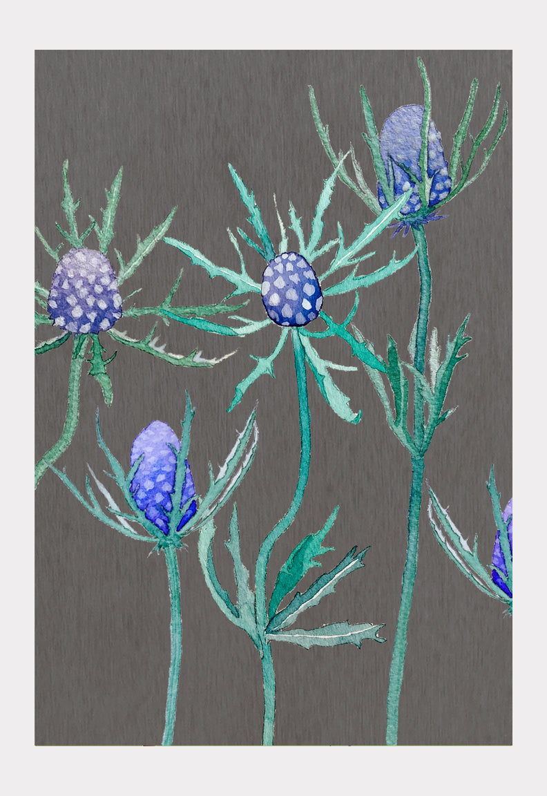 Art Print:  Purple Thistle on Grey by India & Purry