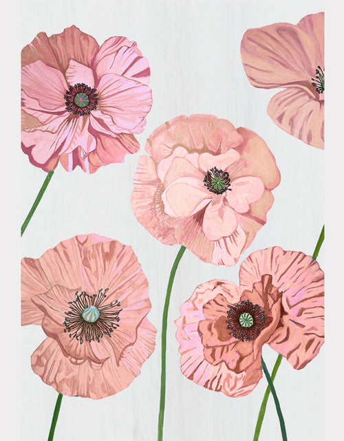 Load image into Gallery viewer, Art Print:  Rose Poppies on Pale Grey by India &amp; Purry
