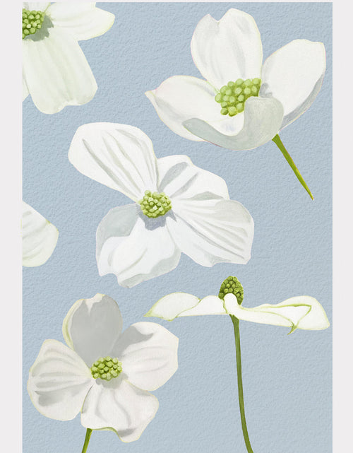 Load image into Gallery viewer, Art Print:  White Dogwood Blossoms on Pale Blue by India &amp; Purry
