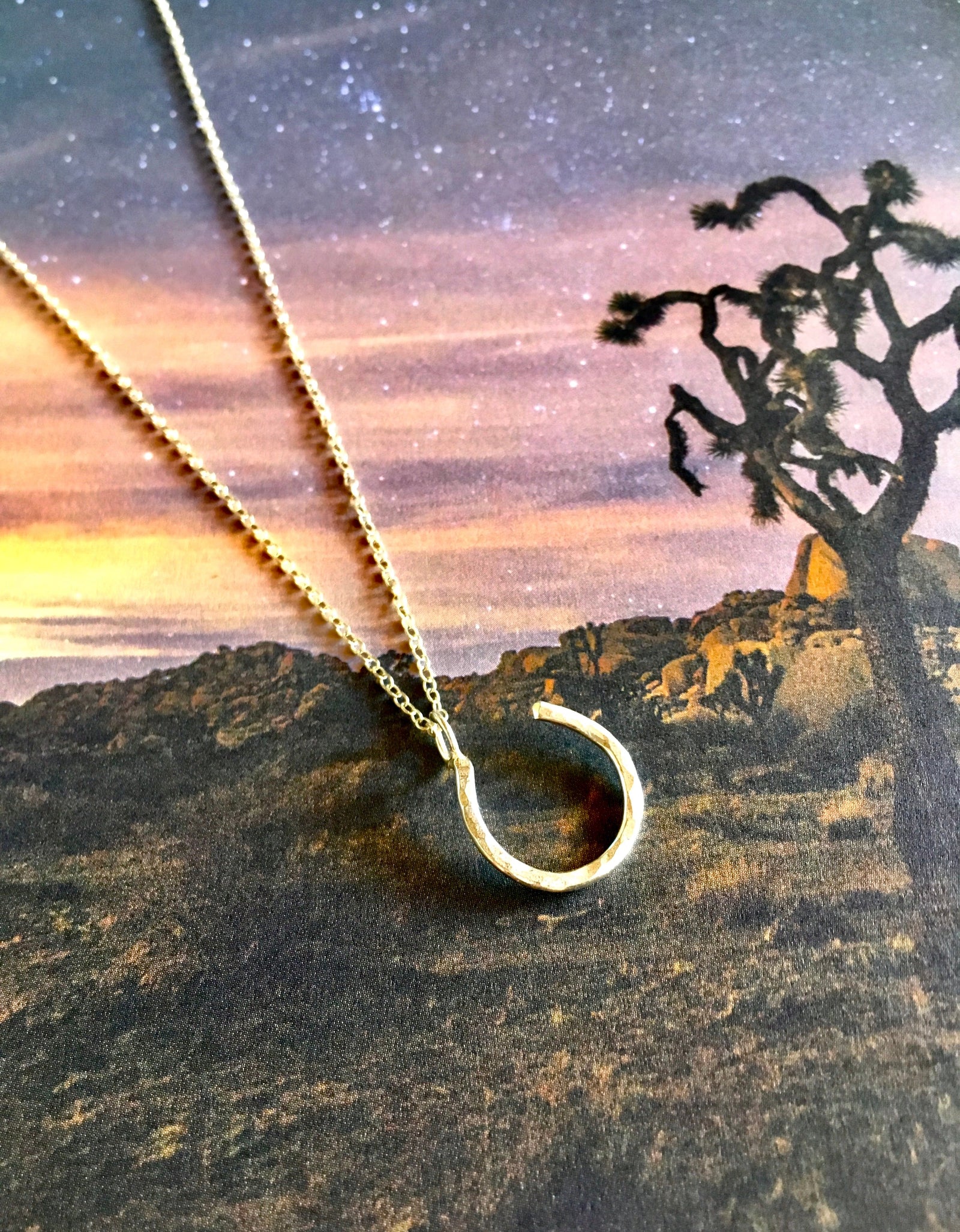 Hanging Lucky Horseshoe Charm Necklace by Jennifer Cervelli Jewelry