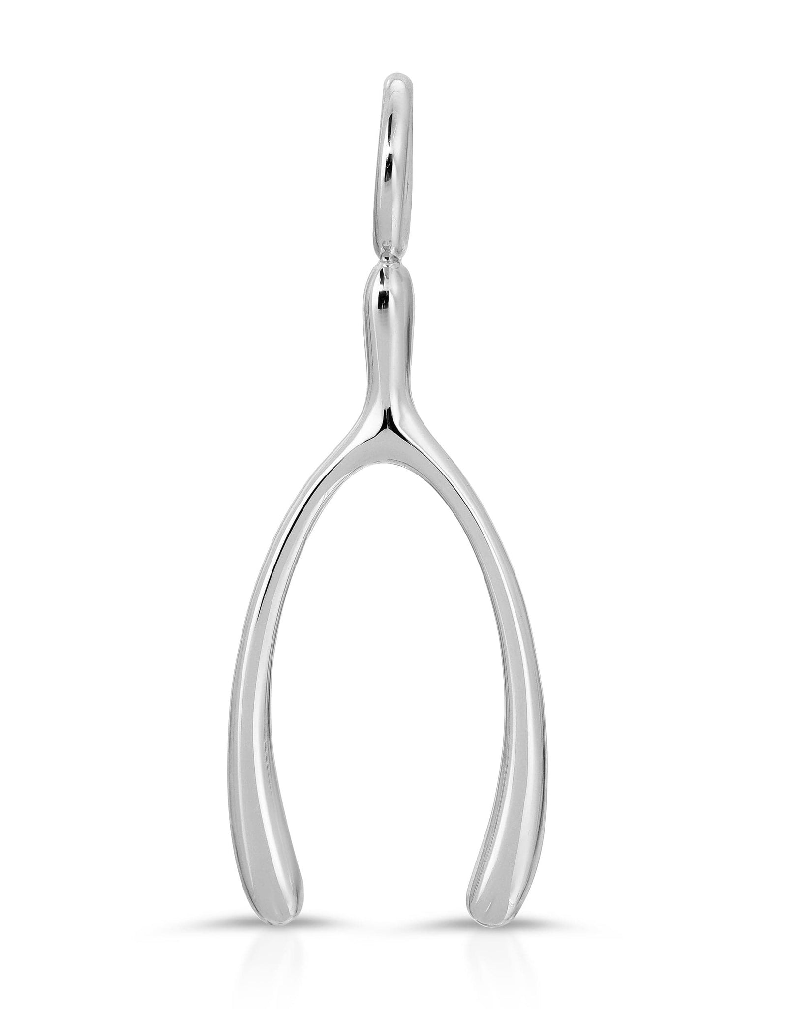 Make A Wish-Bone Pendant by eklexic jewelry