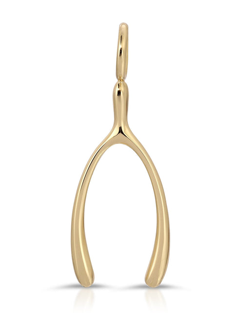 Load image into Gallery viewer, Make A Wish-Bone Pendant by eklexic jewelry
