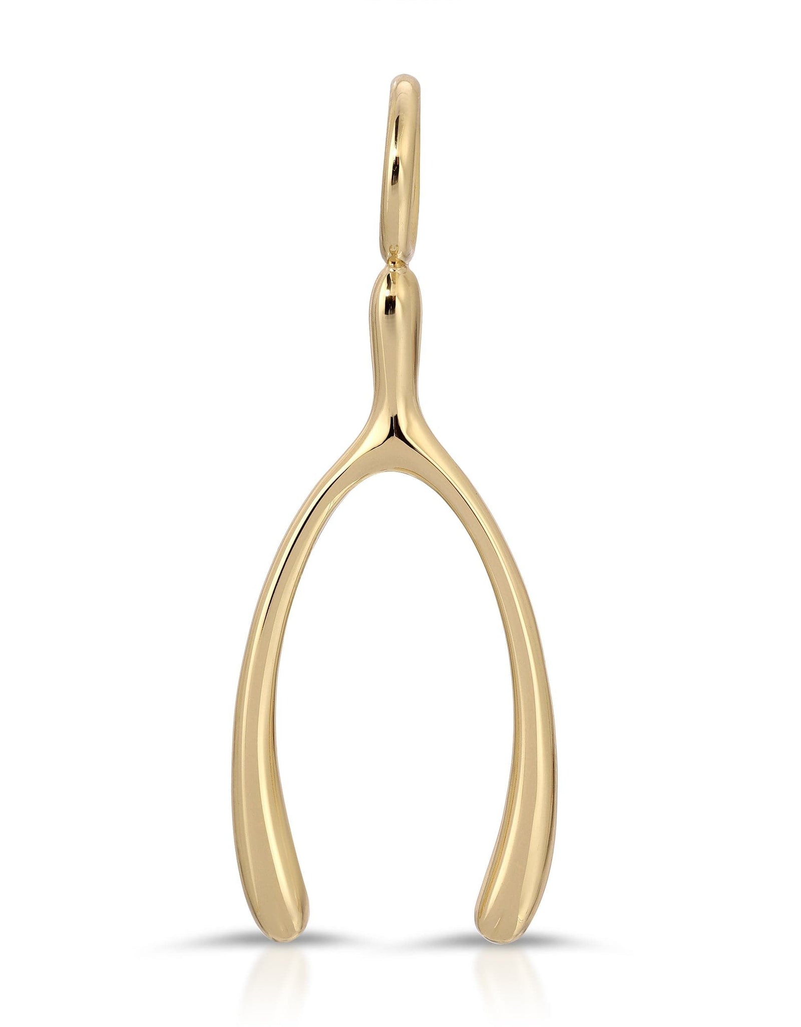 Make A Wish-Bone Pendant by eklexic jewelry