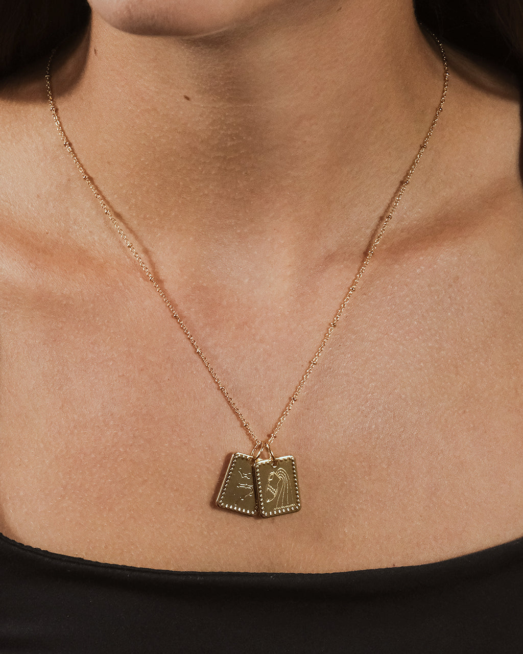 Zodiac Tag Necklace by Sterling Forever