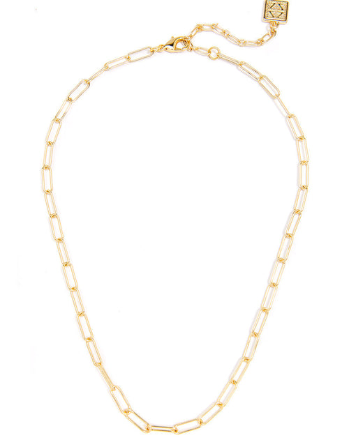 Load image into Gallery viewer, Margot Paperclip Link Long Necklace by ZENZII
