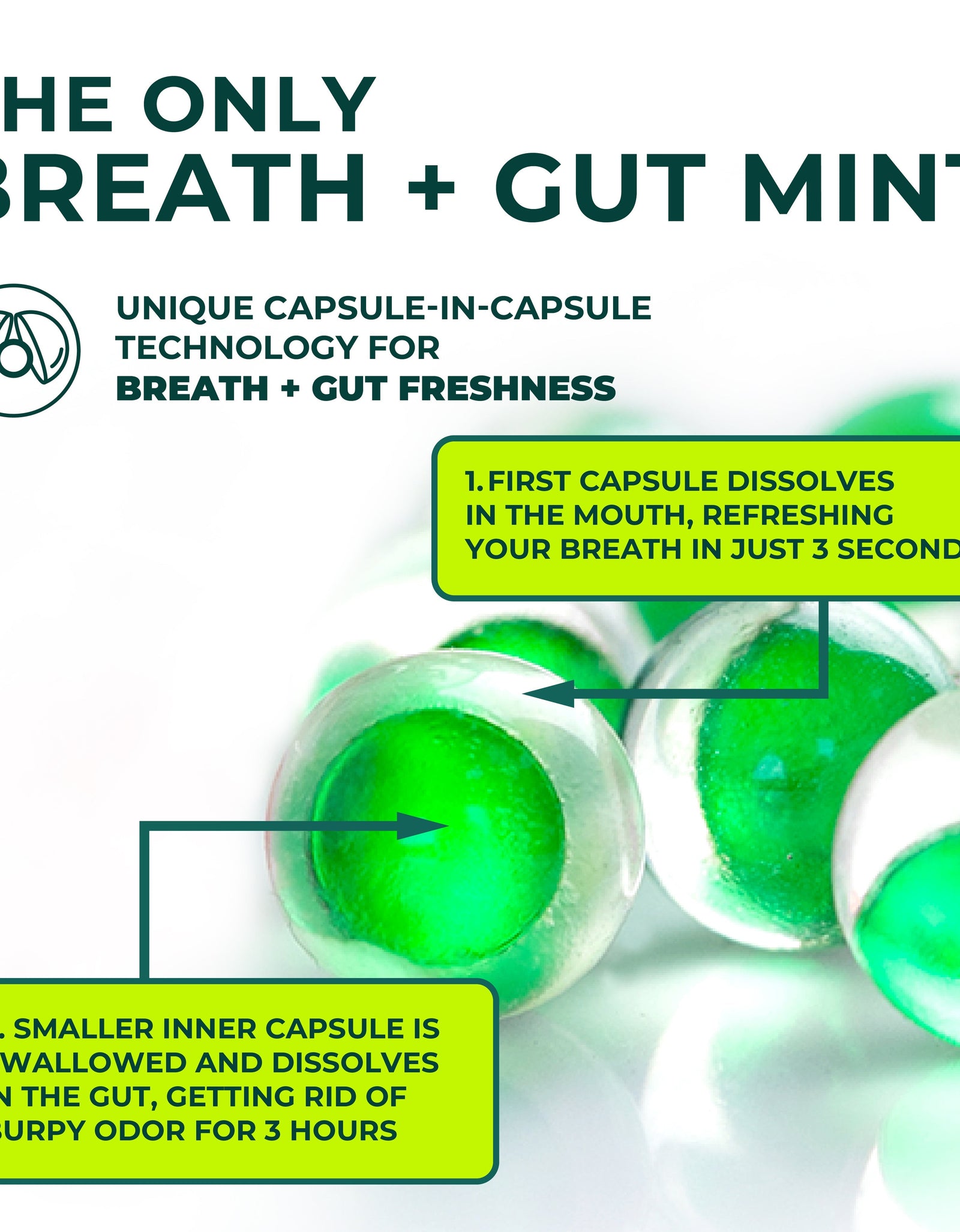 Breath + Gut Mints - Lemon Drop (Lemon Flavor) by NUDE MINTS