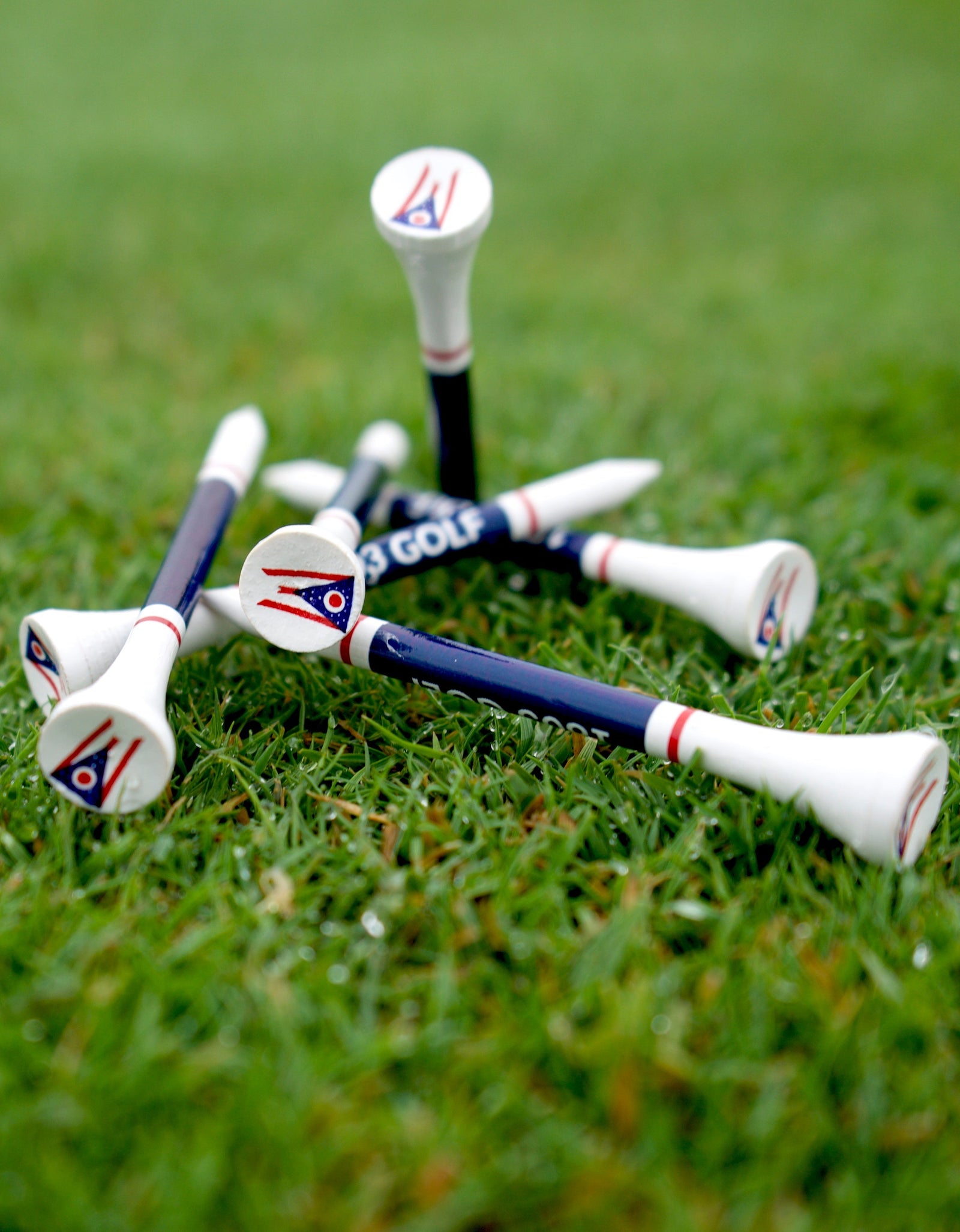 State of Ohio Golf Tees by 1803 Golf