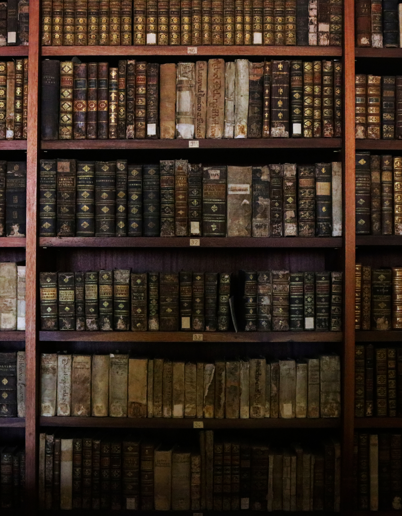 Old Books by Wicked Good Perfume