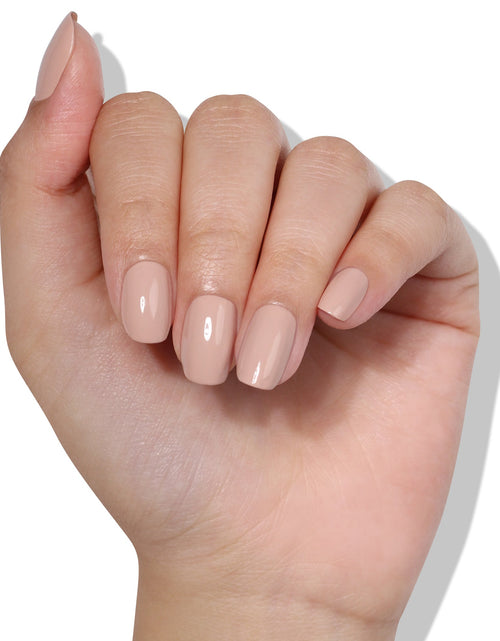 Load image into Gallery viewer, Pampas Beige by LONDONTOWN
