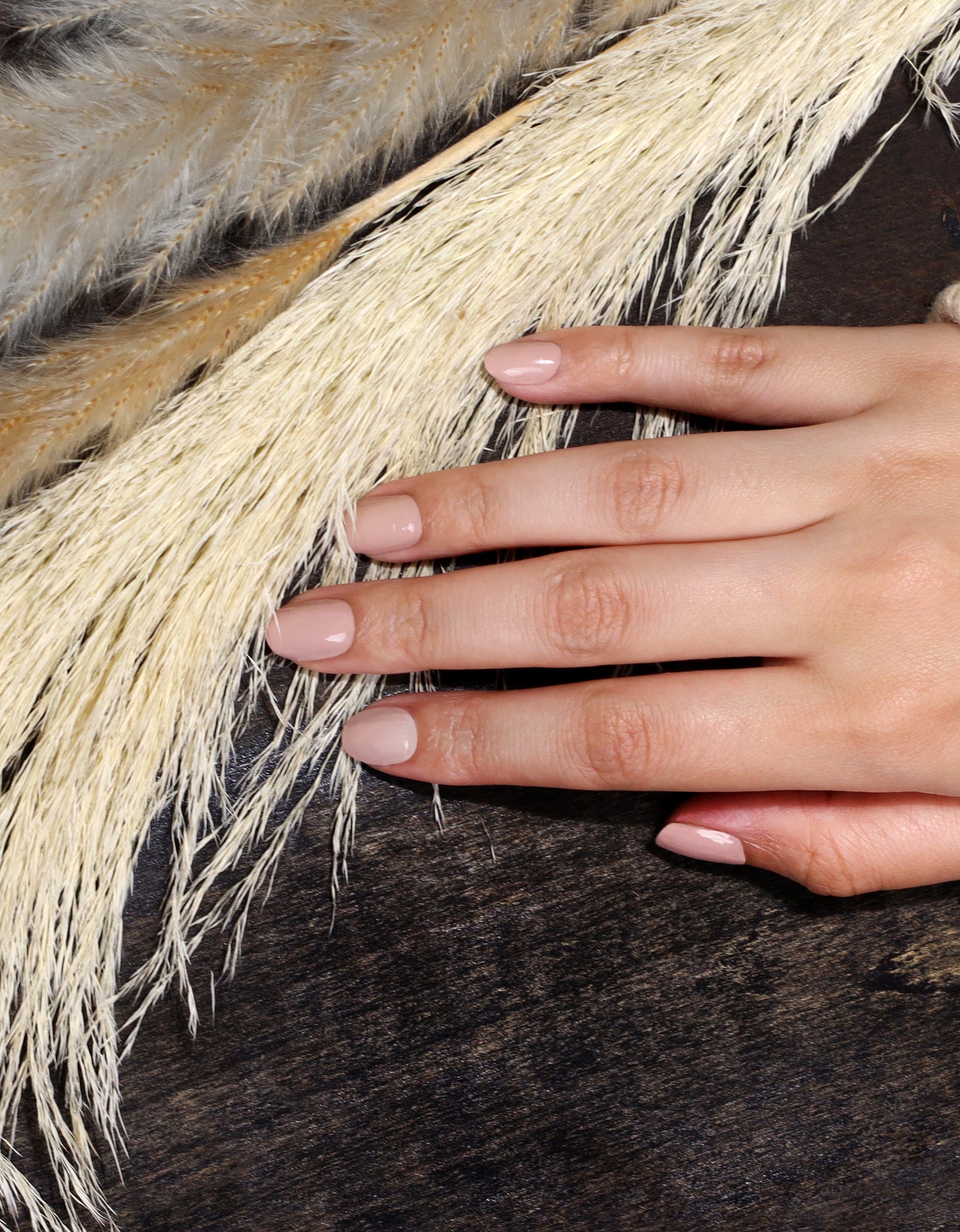 Pampas Beige by LONDONTOWN