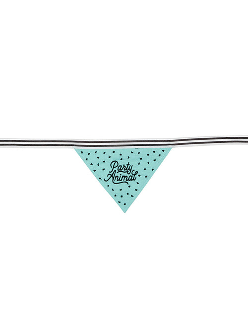Load image into Gallery viewer, Party Animal Pet Bandana | In Blue With Printed Hearts Designs by The Bullish Store
