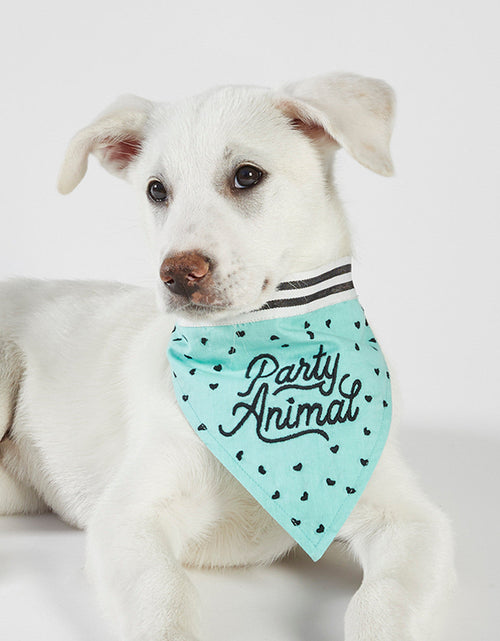 Load image into Gallery viewer, Party Animal Pet Bandana | In Blue With Printed Hearts Designs by The Bullish Store
