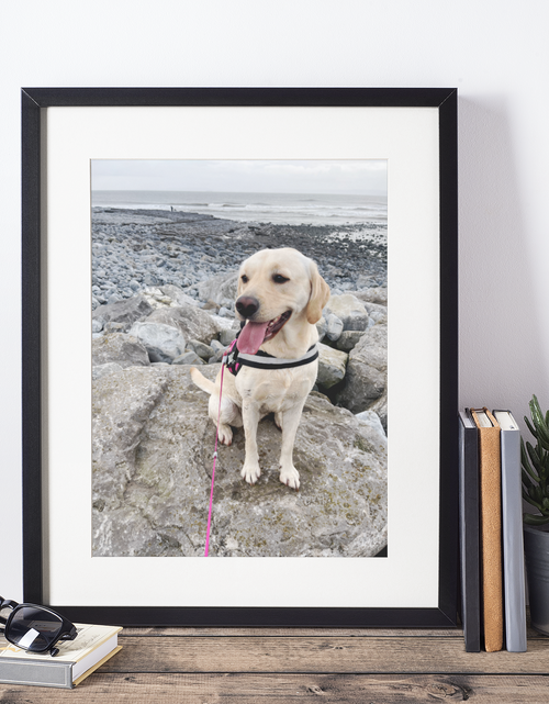 Load image into Gallery viewer, We Print Your Photo's High Gloss Photography Printing Upload Your Own Images by WinsterCreations™ Official Store
