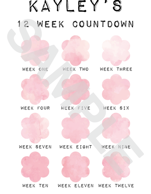 Load image into Gallery viewer, Personalised A4 Any Name 12 Week Countdown Weight Loss Chart Tracker Print - Assorted Designs - Laminated With Drywipe Pen by WinsterCreations™ Official Store
