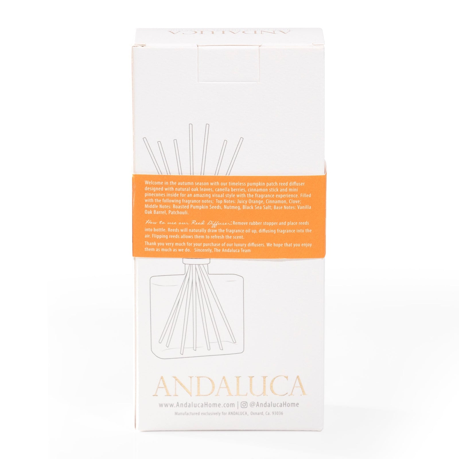 Pumpkin Patch Reed Diffuser by Andaluca Home