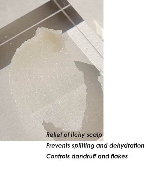 Load image into Gallery viewer, (New) Purifying Shampoo with Dead Sea Salt by elvis+elvin
