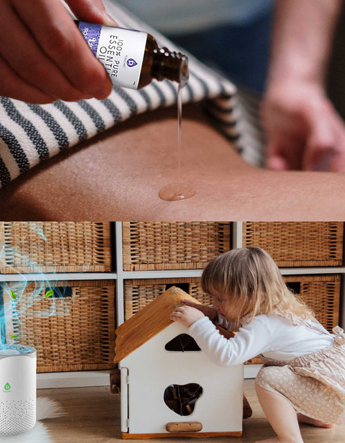 Load image into Gallery viewer, Pursonic Air Purifier with 6-Pack Premium Essential Oils Collection by Pursonic
