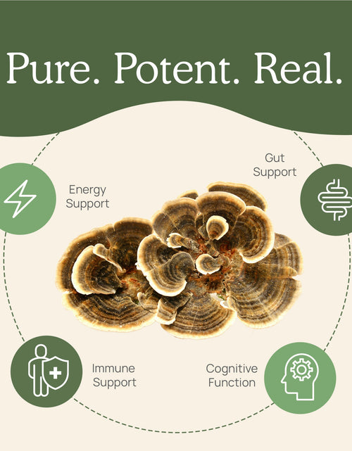 Load image into Gallery viewer, Turkey Tail Extract - Bulk Powder by Real Mushrooms
