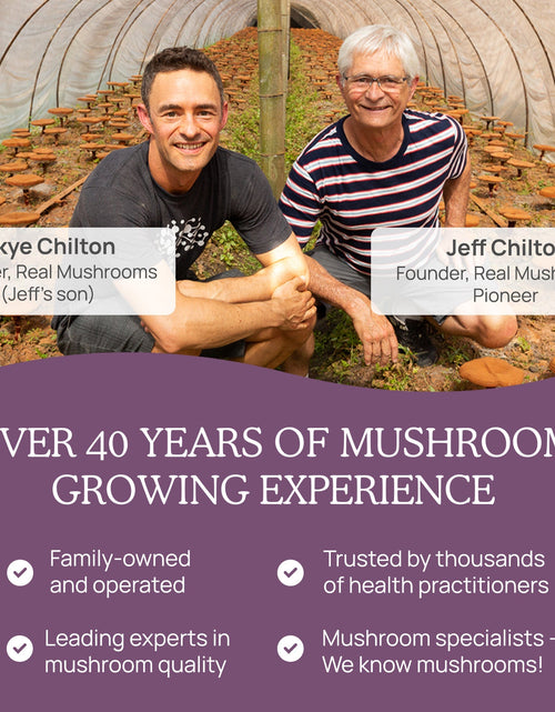 Load image into Gallery viewer, Organic Chaga Extract Powder by Real Mushrooms
