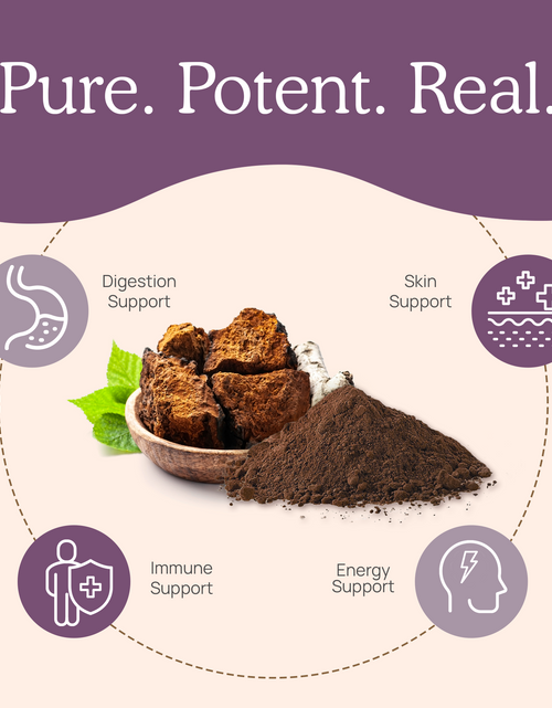 Load image into Gallery viewer, Organic Chaga Extract Powder by Real Mushrooms
