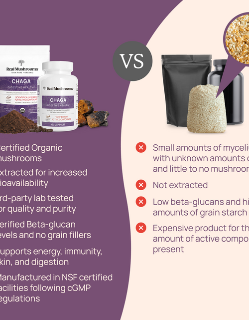 Load image into Gallery viewer, Organic Chaga Extract Powder by Real Mushrooms
