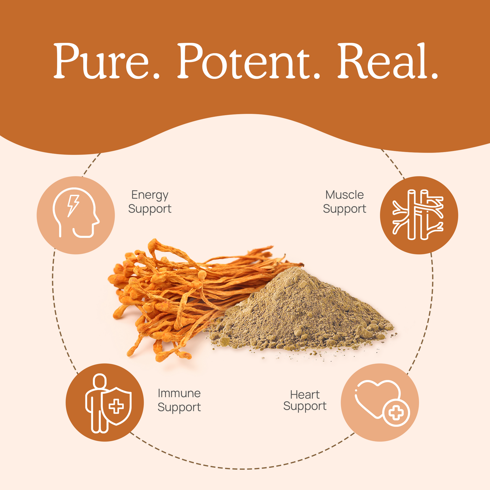 Organic Cordyceps Mushroom Extract Powder – Bulk Supplement by Real Mushrooms