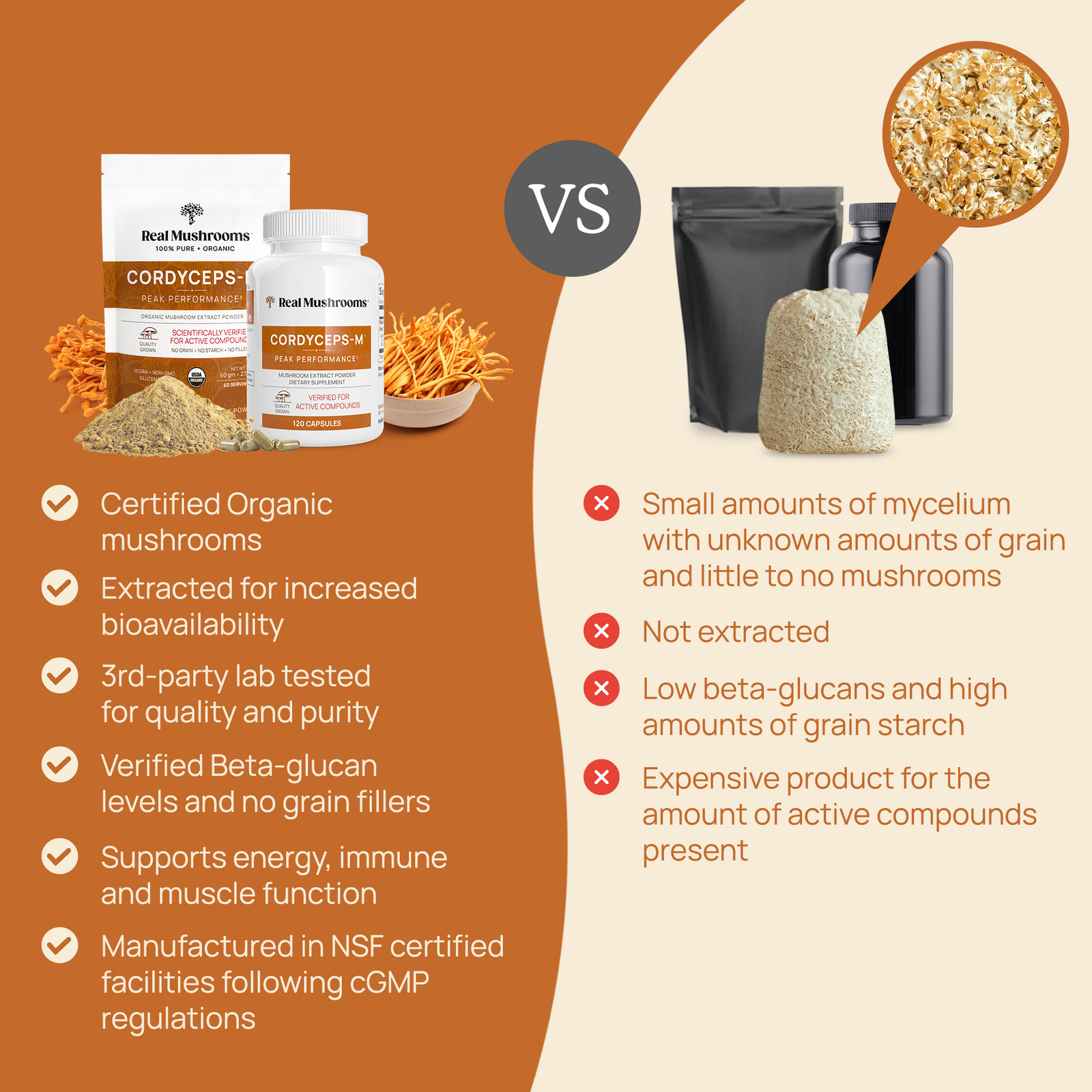 Organic Cordyceps Mushroom Extract Powder – Bulk Supplement by Real Mushrooms