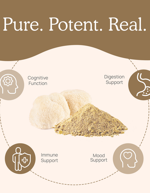 Load image into Gallery viewer, Lions Mane Mushroom Powder by Real Mushrooms
