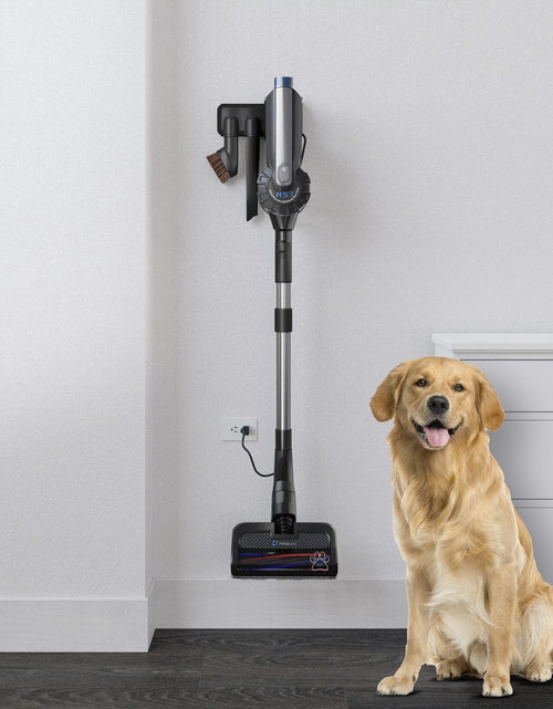 Load image into Gallery viewer, Prolux RS7 PET Cordless Handheld Stick Vacuum by Prolux Cleaners
