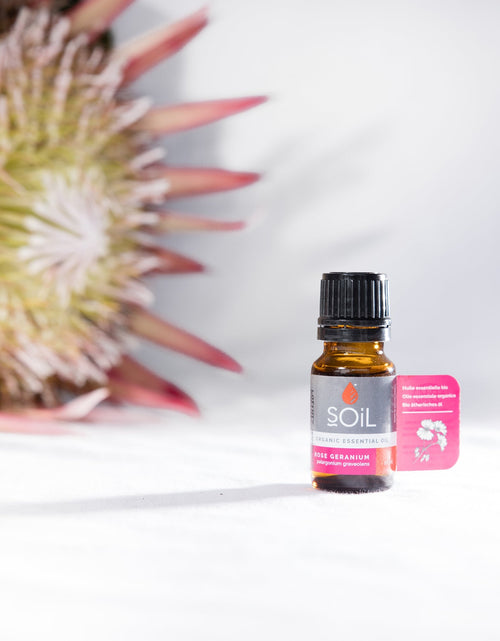 Load image into Gallery viewer, Organic Rose Geranium Essential Oil (Pelargoneum Graveolens) 10ml by SOiL Organic Aromatherapy and Skincare
