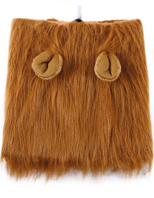 Load image into Gallery viewer, Dach Everywhere™ Lion Mane Dog Costume by Dach Everywhere
