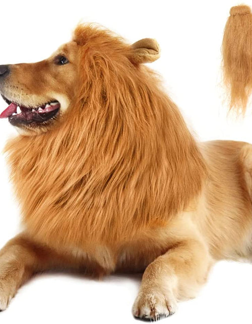 Load image into Gallery viewer, Dach Everywhere™ Lion Mane Dog Costume by Dach Everywhere
