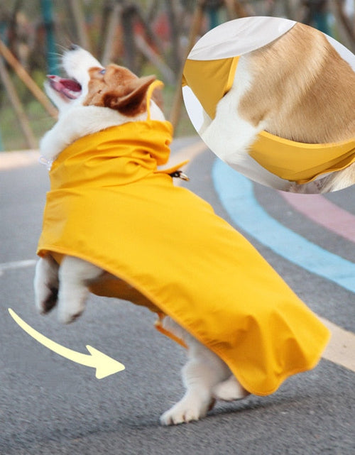 Load image into Gallery viewer, Dog waterproof Raincoat and Poncho with Belly Protection by Dach Everywhere
