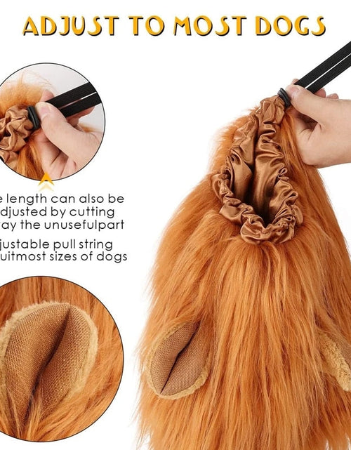 Load image into Gallery viewer, Dach Everywhere™ Lion Mane Dog Costume by Dach Everywhere
