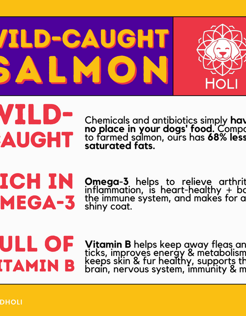 Load image into Gallery viewer, Wild Caught Salmon Dog Food Topper by HOLI
